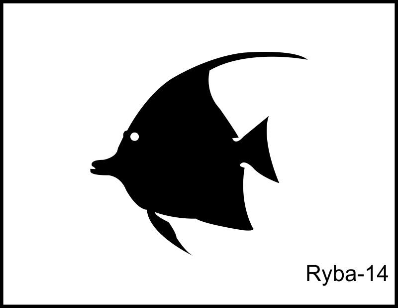 ryby 14